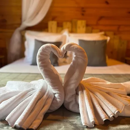 L'enseigne -location De 2 Privatifs Avec Шале *