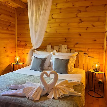 L'enseigne -location De 2 Privatifs Avec Venizel